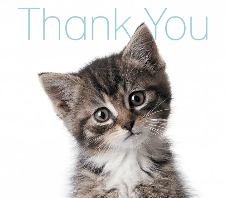 Thank you for signing up