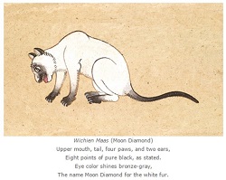 siamese cat history